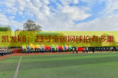 23寸全碳网球拍有多重