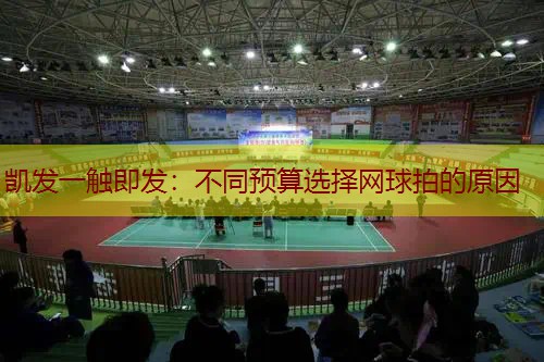 不同预算选择网球拍的原因
