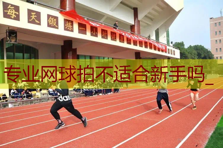 专业网球拍不适合新手吗_