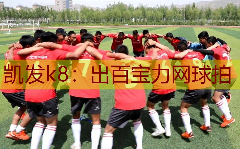 出百宝力网球拍