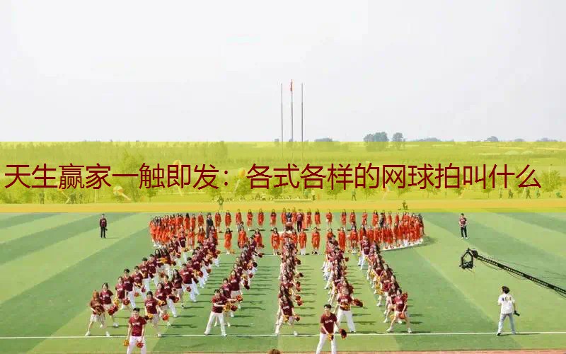各式各样的网球拍叫什么