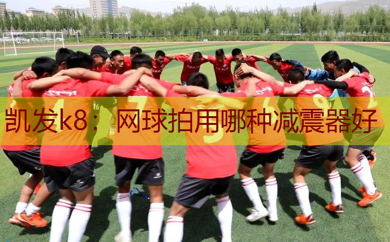 网球拍用哪种减震器好