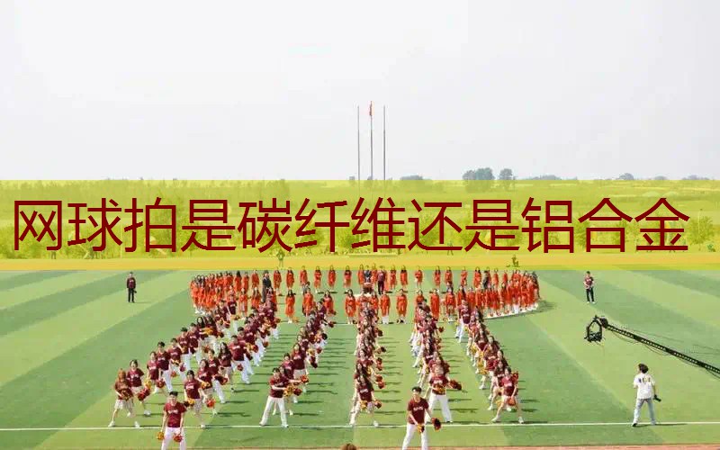 网球拍是碳纤维还是铝合金