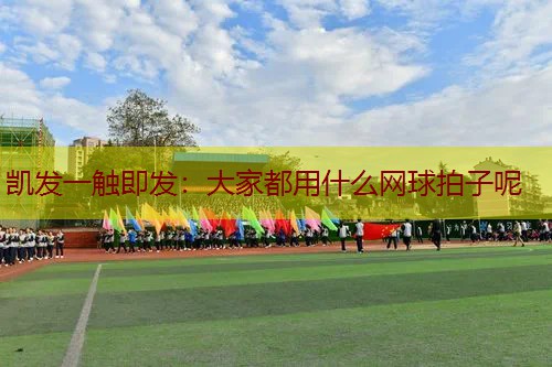大家都用什么网球拍子呢