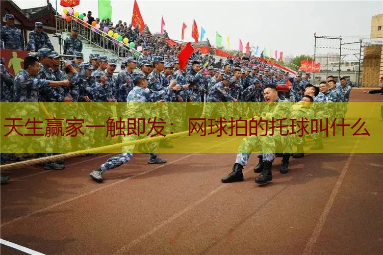 网球拍的托球叫什么
