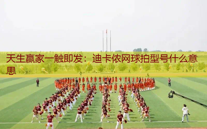 迪卡侬网球拍型号什么意思