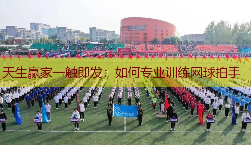 如何专业训练网球拍手