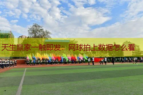网球拍上数据怎么看