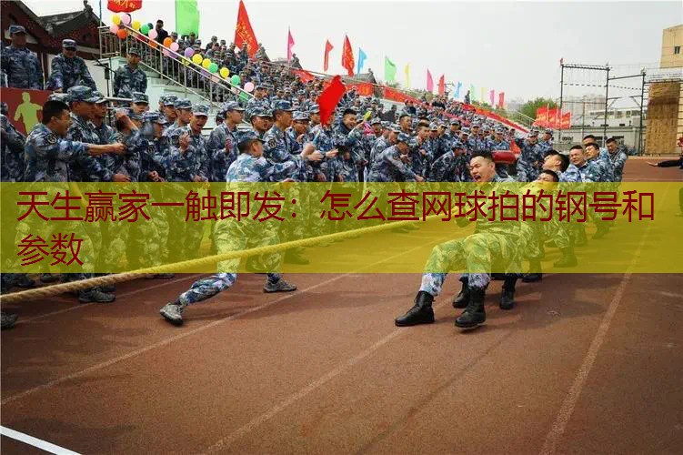 怎么查网球拍的钢号和参数